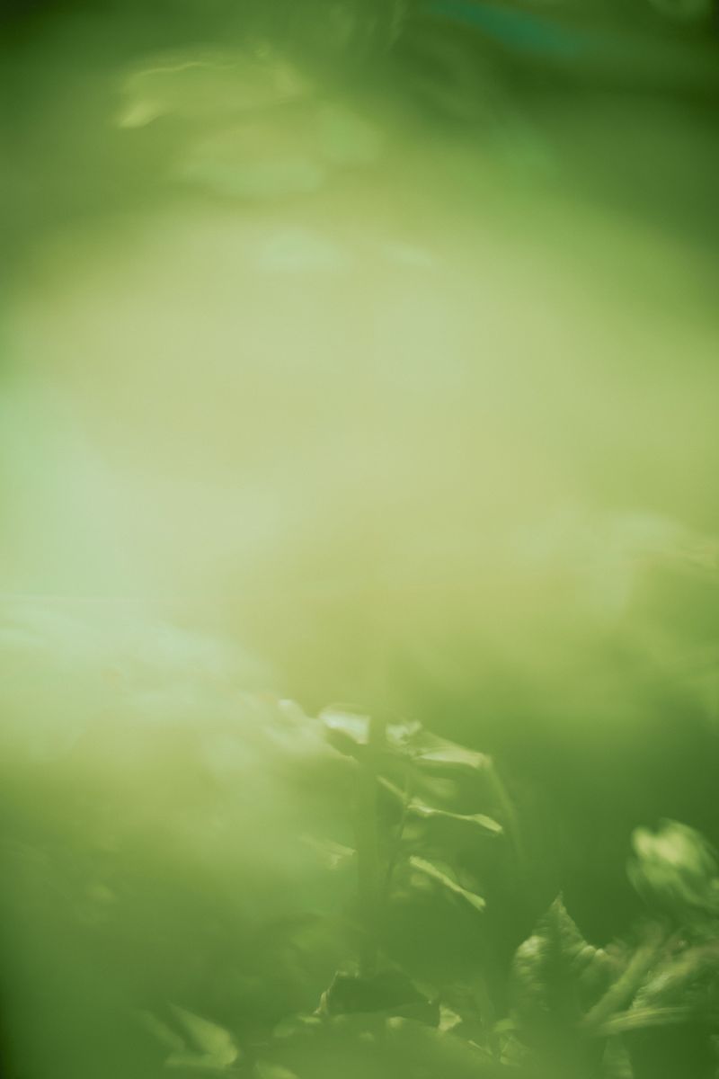 © Priscilla Mars - Image from the San Marino photography project