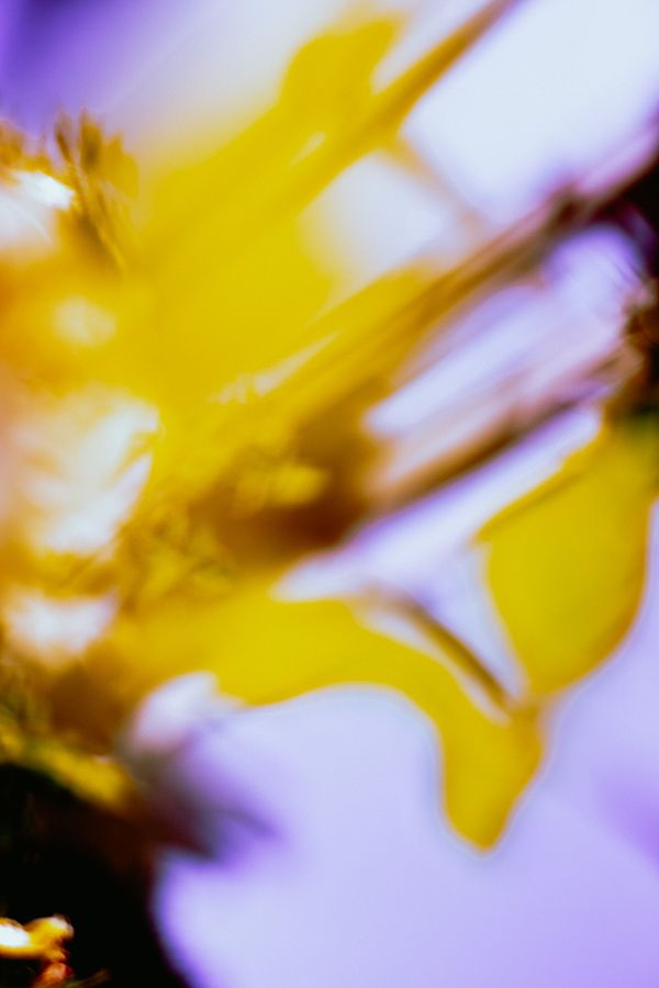 © Priscilla Mars - Image from the San Marino photography project