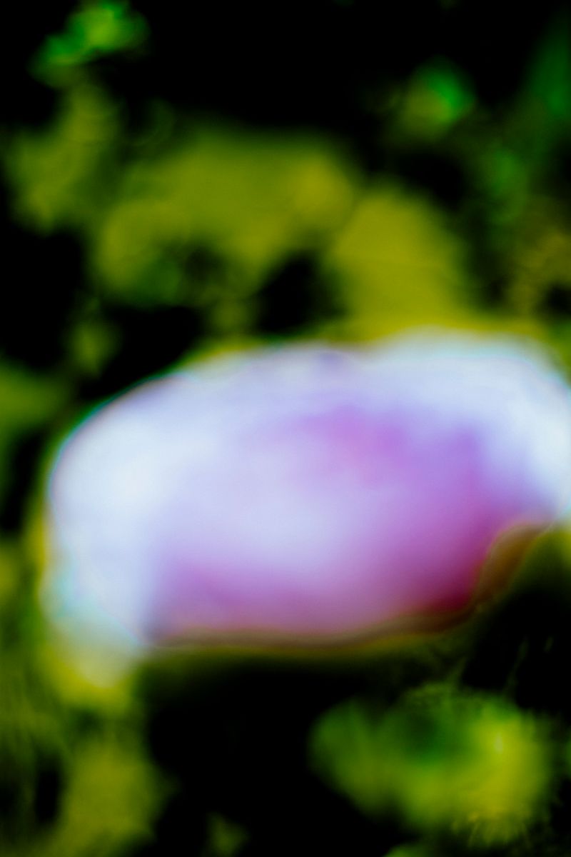 © Priscilla Mars - Image from the San Marino photography project