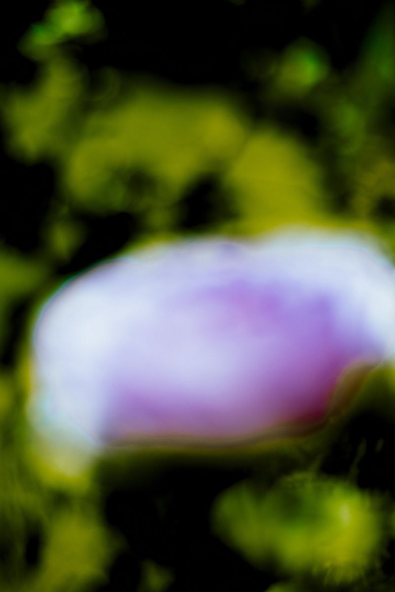 © Priscilla Mars - Image from the San Marino photography project