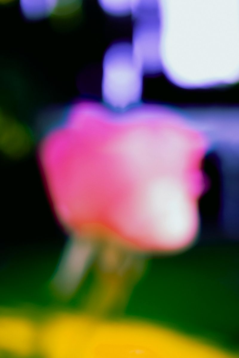 © Priscilla Mars - Image from the San Marino photography project