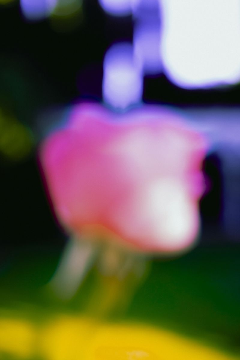 © Priscilla Mars - Image from the San Marino photography project