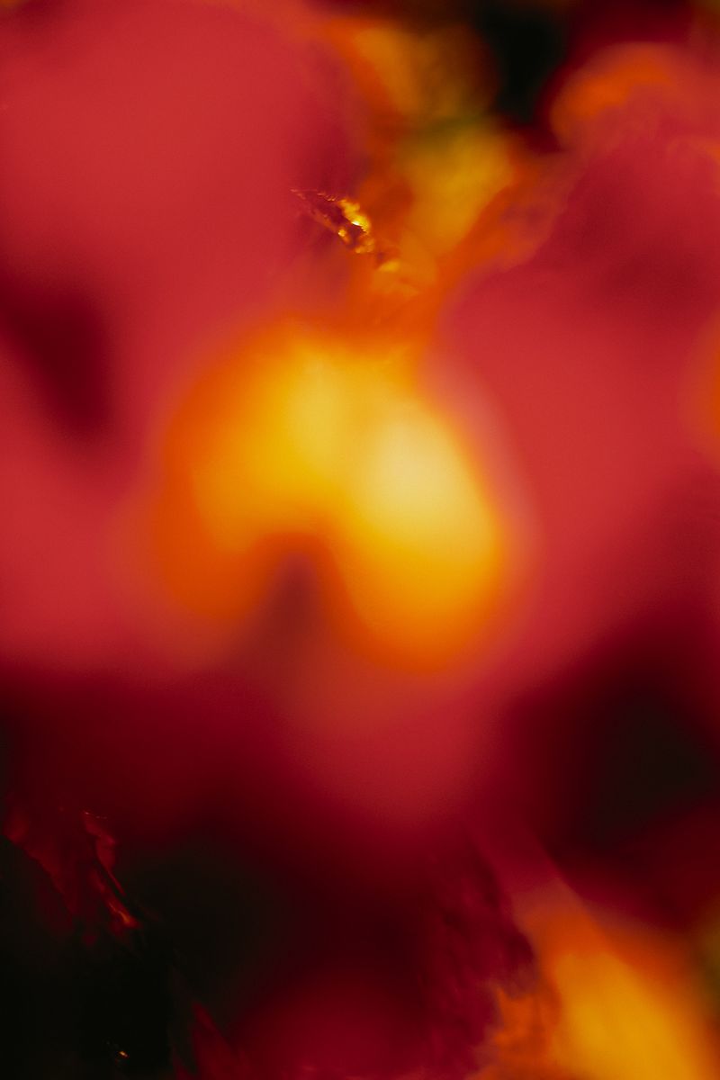 © Priscilla Mars - Image from the San Marino photography project