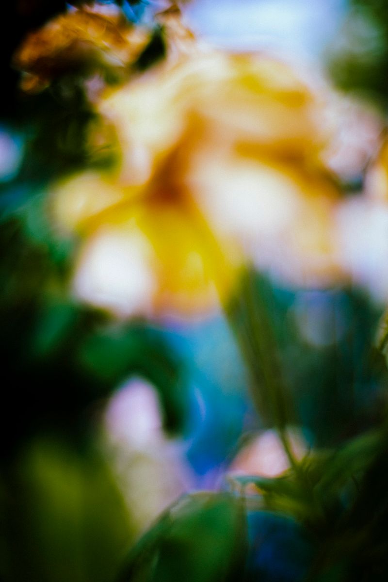 © Priscilla Mars - Image from the San Marino photography project