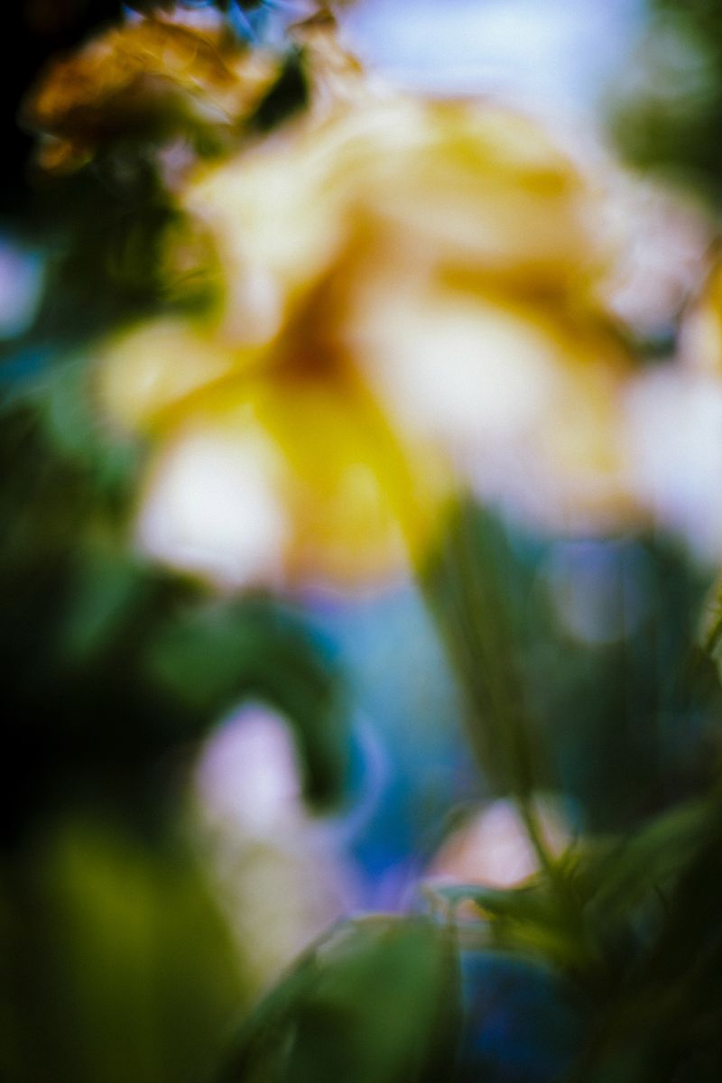 © Priscilla Mars - Image from the San Marino photography project