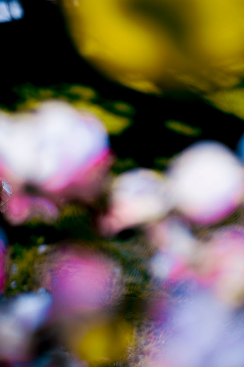 © Priscilla Mars - Image from the San Marino photography project