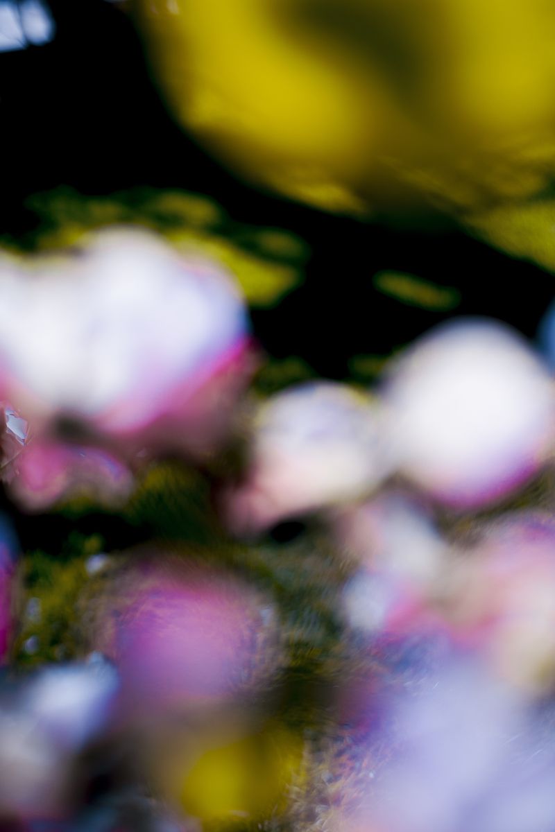 © Priscilla Mars - Image from the San Marino photography project