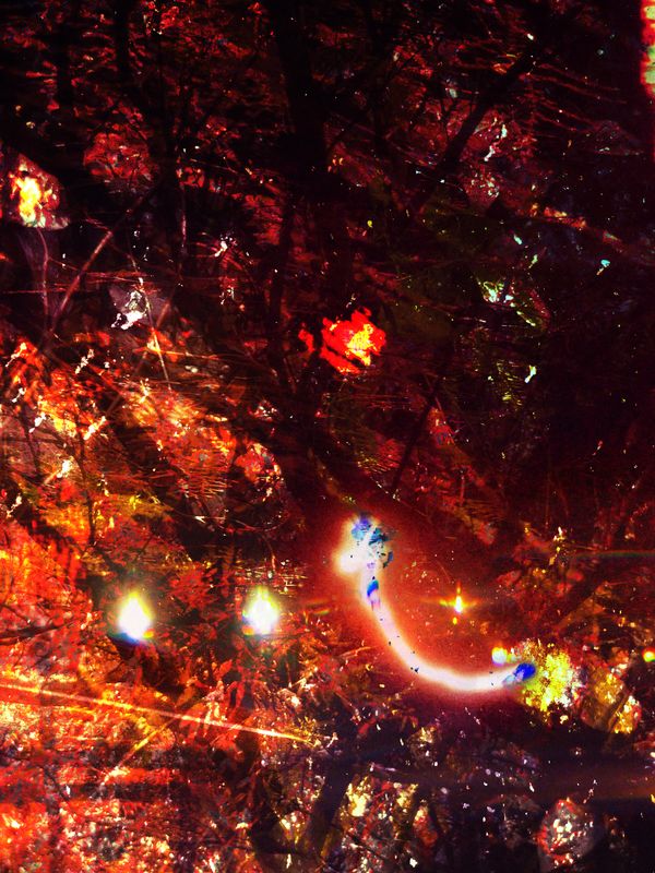 © Priscilla Mars - Image from the Behind the curtains there's a city photography project