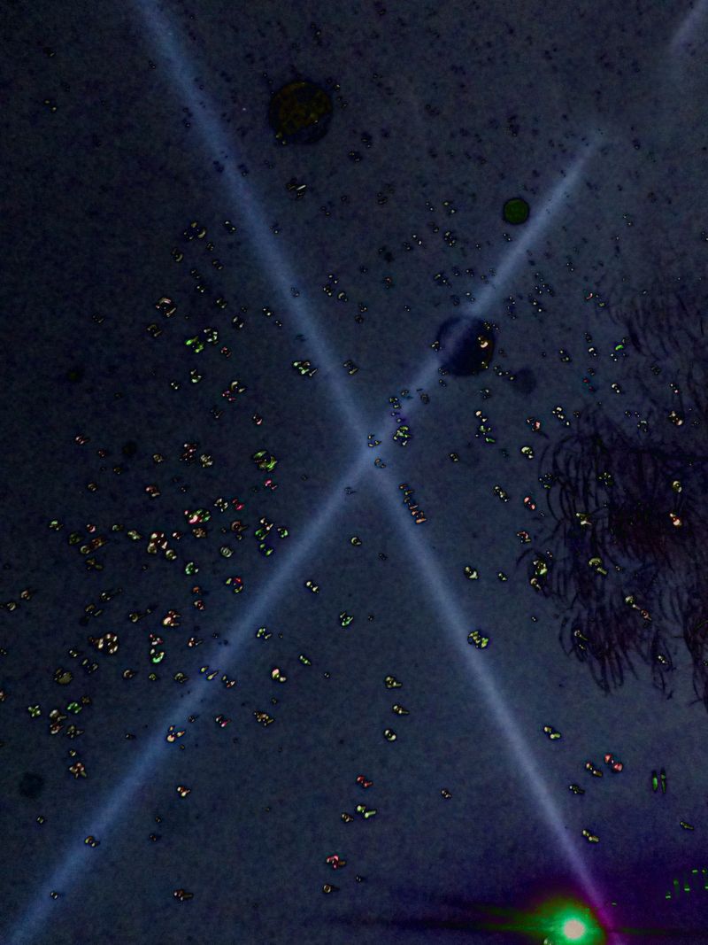 © Priscilla Mars - Image from the Behind the curtains there's a city photography project