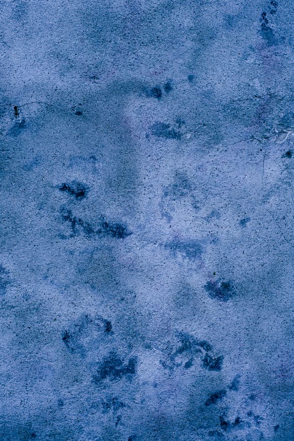 © Priscilla Mars - Image from the French Textures photography project