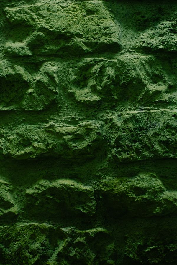 © Priscilla Mars - Image from the French Textures photography project