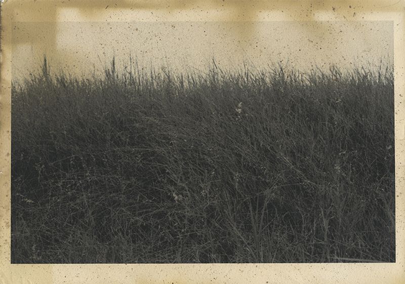 © Marcelo Costa - Image from the Place where time suffers photography project