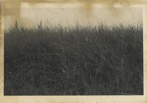 Place where time suffers