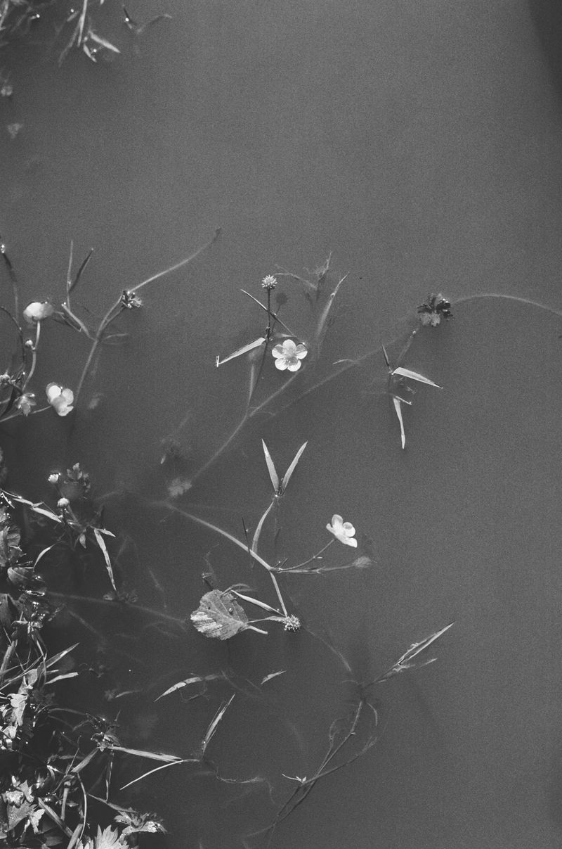 © Tengbeh Kamara - Image from the Two Warm Weeks photography project