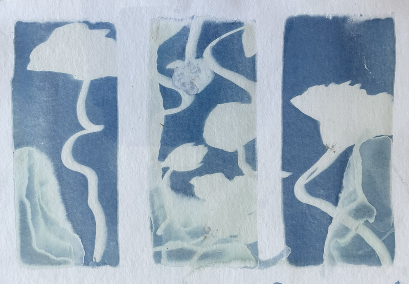 © Tengbeh Kamara - Image from the Two Warm Weeks photography project