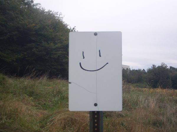 © mmonkism - head up