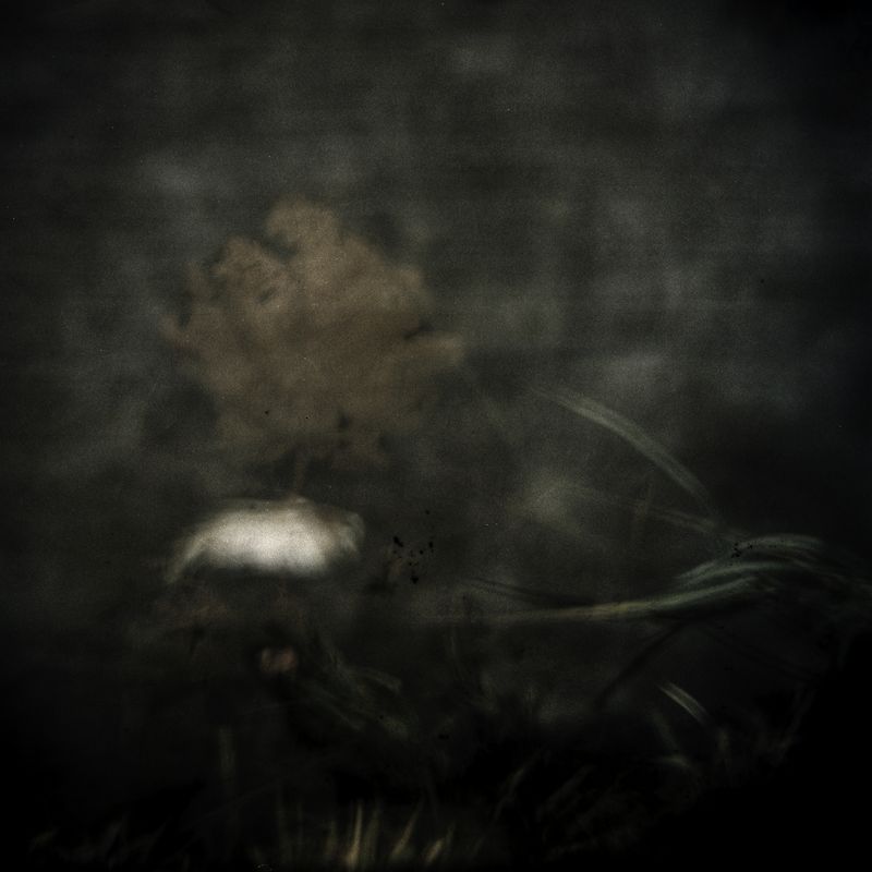 © Enrico Doria - Image from the The shape of nature photography project