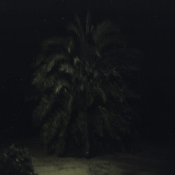 © Enrico Doria - holga 120