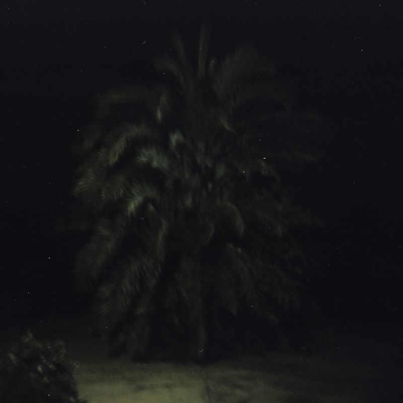 © Enrico Doria - holga 120