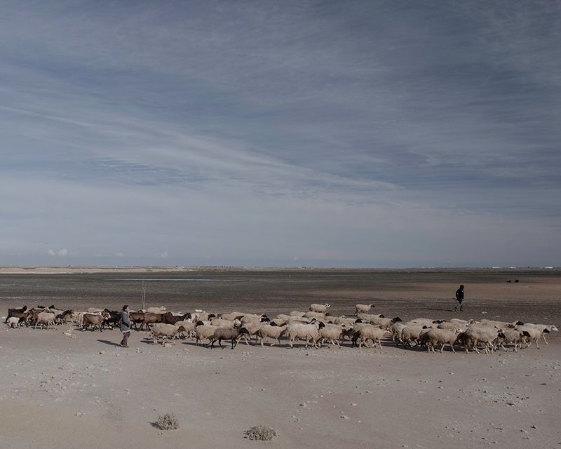 © Enrico Doria - sheep-farmer in land around Gabes