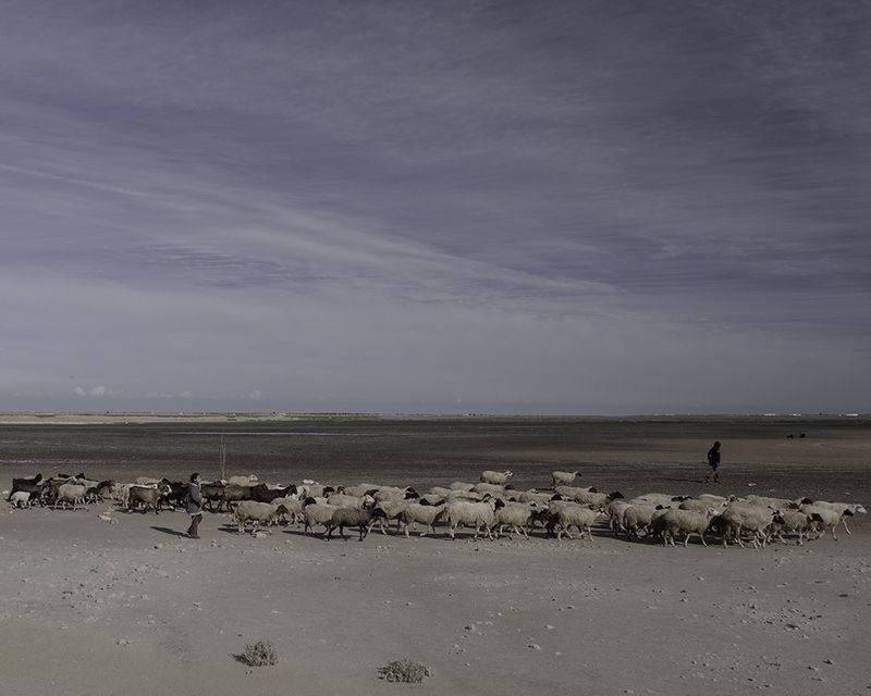 © Enrico Doria - sheep-farmer in land around Gabes