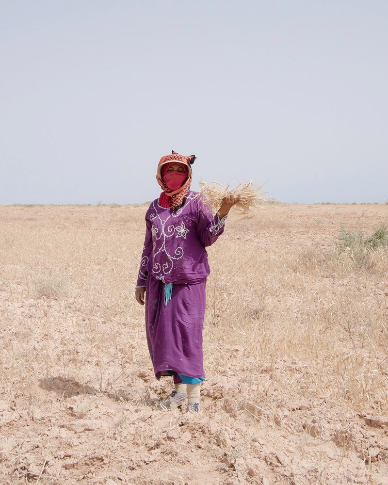 © Enrico Doria - field work
