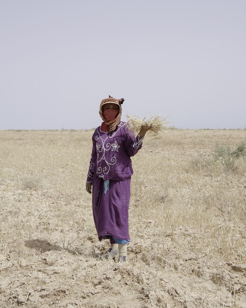 © Enrico Doria - field work