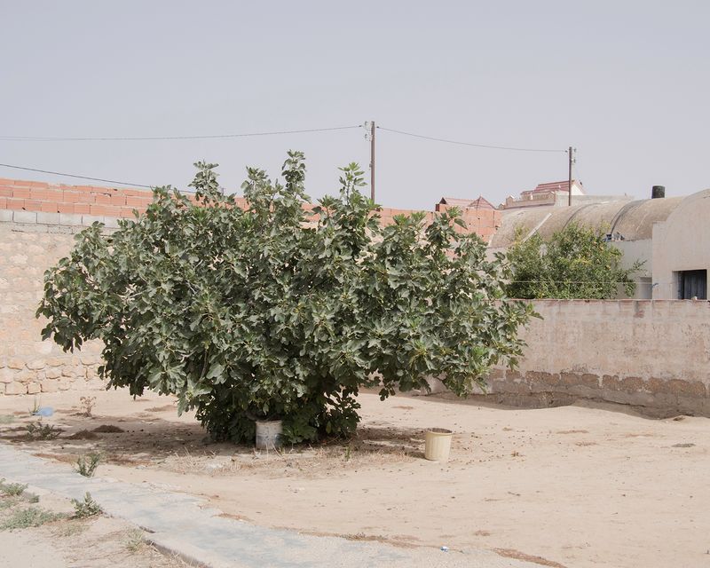 © Enrico Doria - surrounding area of Rahmeni house