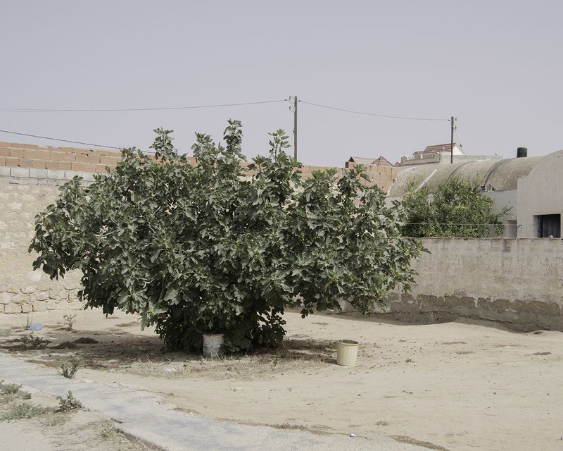 © Enrico Doria - surrounding area of Rahmeni house