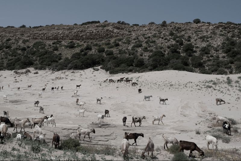 © Enrico Doria - Image from the Taksim photography project