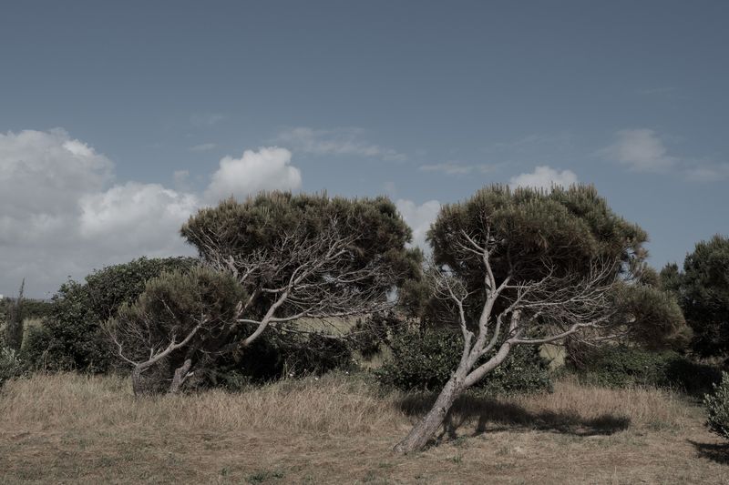 © Enrico Doria - Image from the Taksim photography project