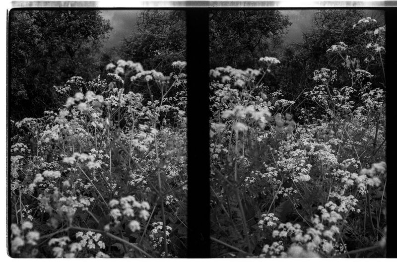 © ANDREY IVANOV - Image from the Сommunion with Nonduality photography project