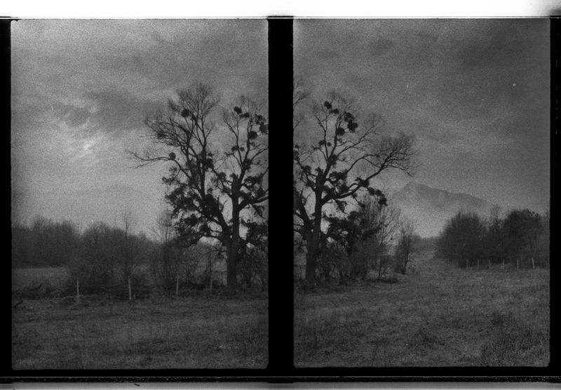 © ANDREY IVANOV - Image from the Сommunion with Nonduality photography project