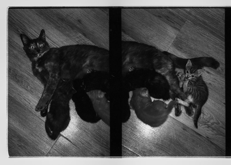 © ANDREY IVANOV - Image from the Сommunion with Nonduality photography project