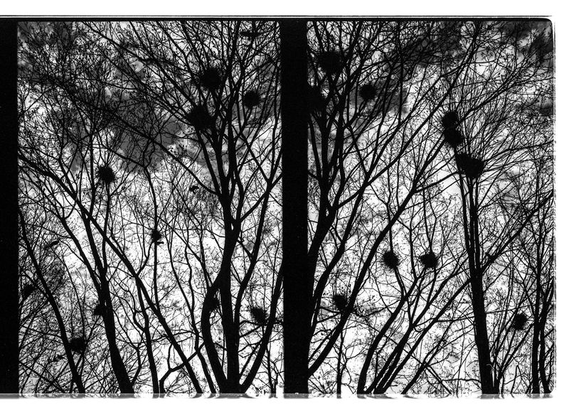 © ANDREY IVANOV - Image from the Сommunion with Nonduality photography project