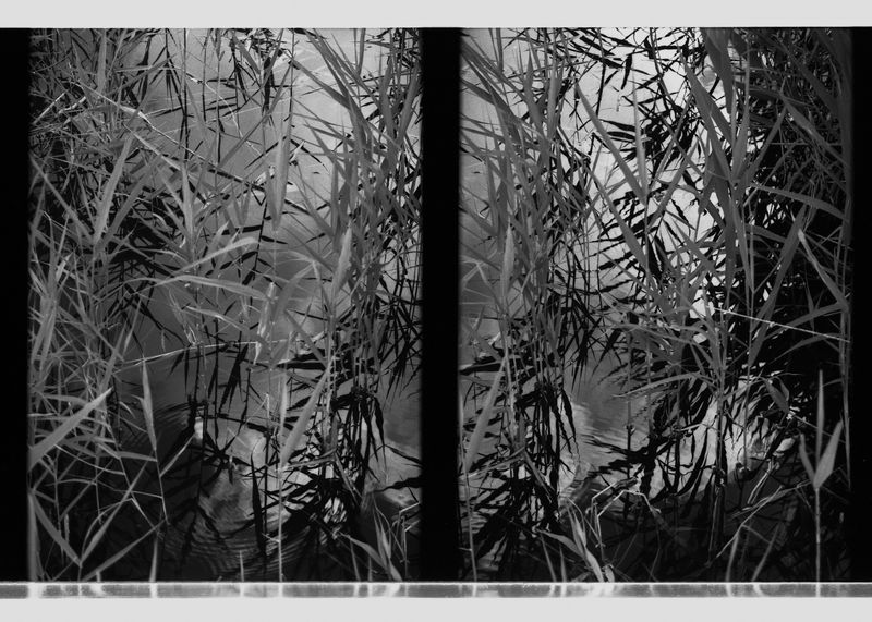 © ANDREY IVANOV - Image from the Сommunion with Nonduality photography project