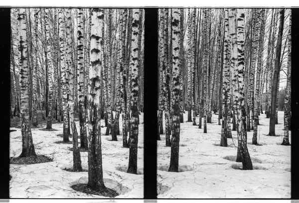 © ANDREY IVANOV - Image from the Сommunion with Nonduality photography project