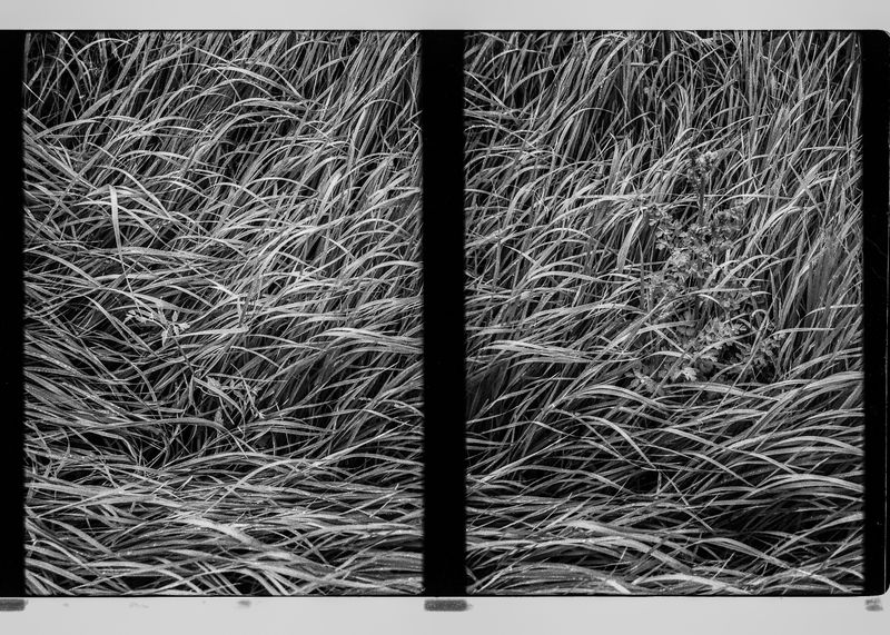 © ANDREY IVANOV - Image from the Сommunion with Nonduality photography project