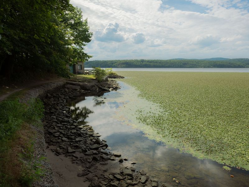 © Andrew Kung - Image from the Dreaming on the Hudson photography project