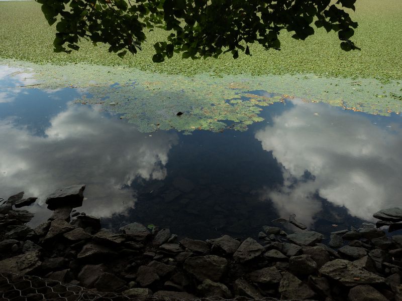 © Andrew Kung - Image from the Dreaming on the Hudson photography project