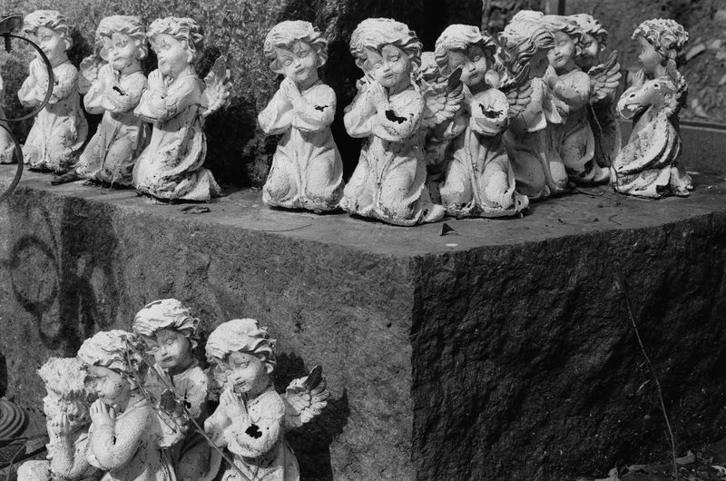 © Natalya Madilyan - Image from the About trees, insects and humans photography project