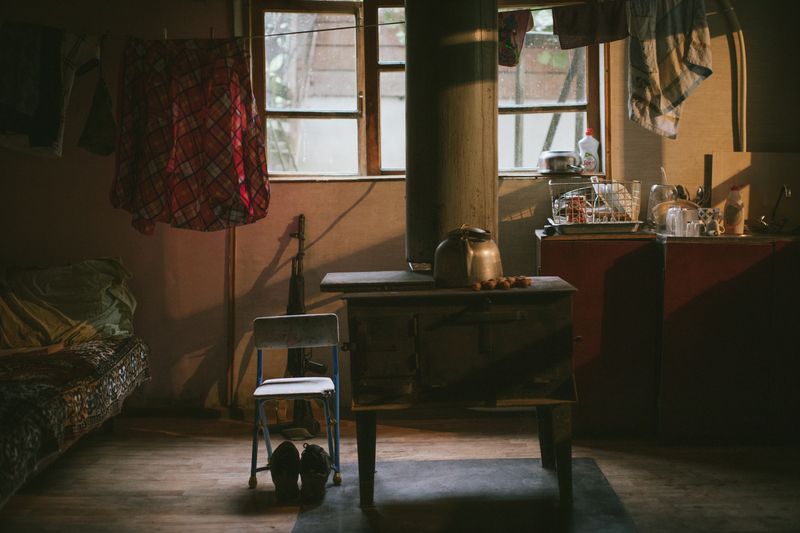 © Natalya Madilyan - Image from the About trees, insects and humans photography project