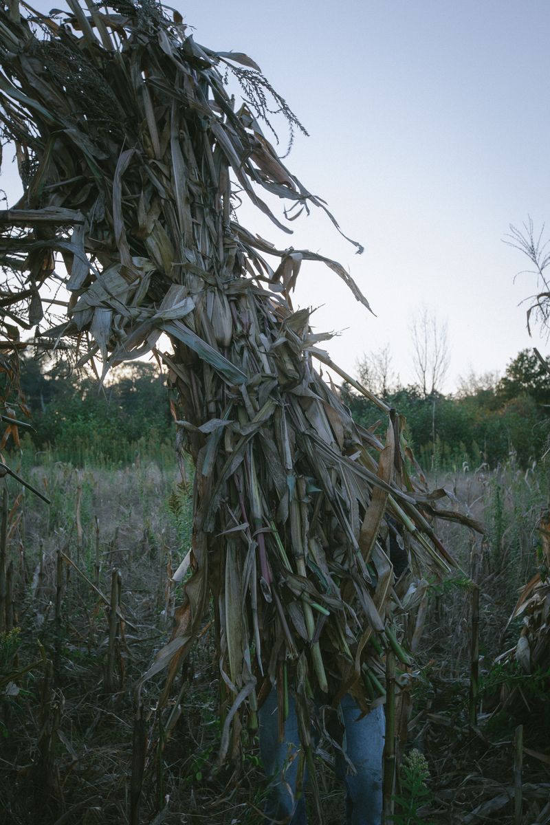 © Natalya Madilyan - Image from the About trees, insects and humans photography project