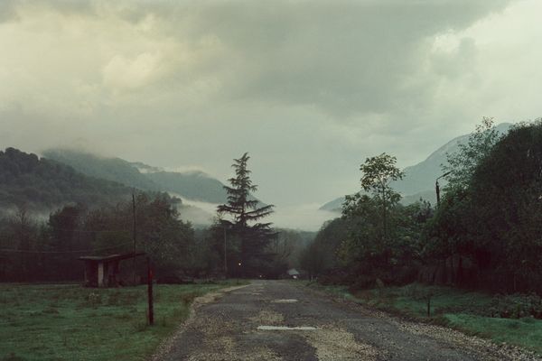 © Natalya Madilyan - Image from the About trees, insects and humans photography project