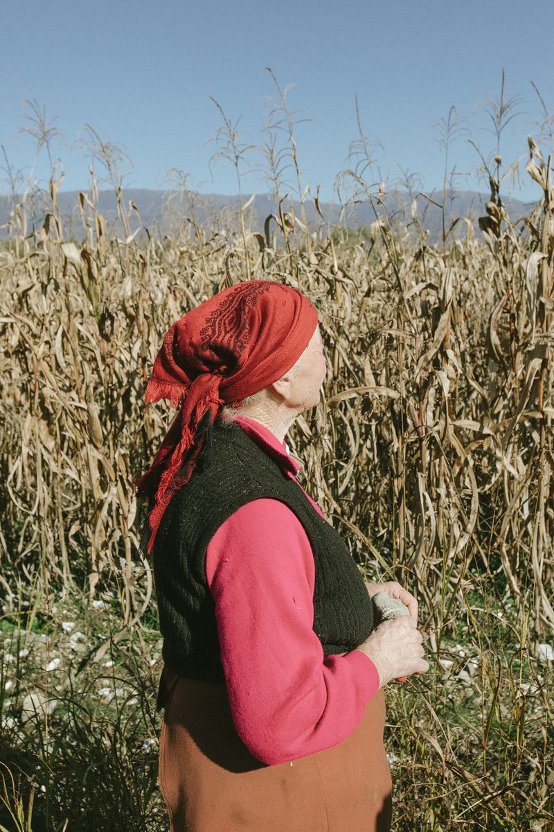 © Natalya Madilyan - Image from the About trees, insects and humans photography project