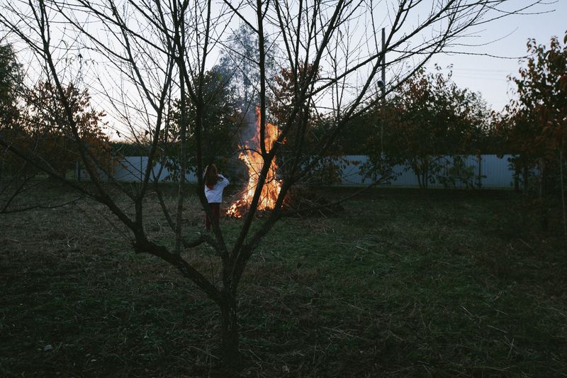 © Natalya Madilyan - Burning diseased branches in the persimmon orchard in the village of Jgerda.
