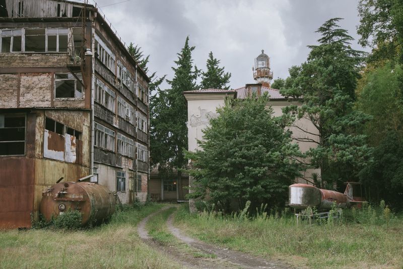 © Natalya Madilyan - Image from the About trees, insects and humans photography project