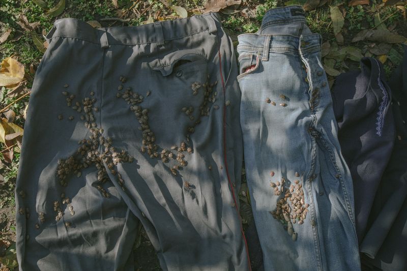 © Natalya Madilyan - Image from the About trees, insects and humans photography project