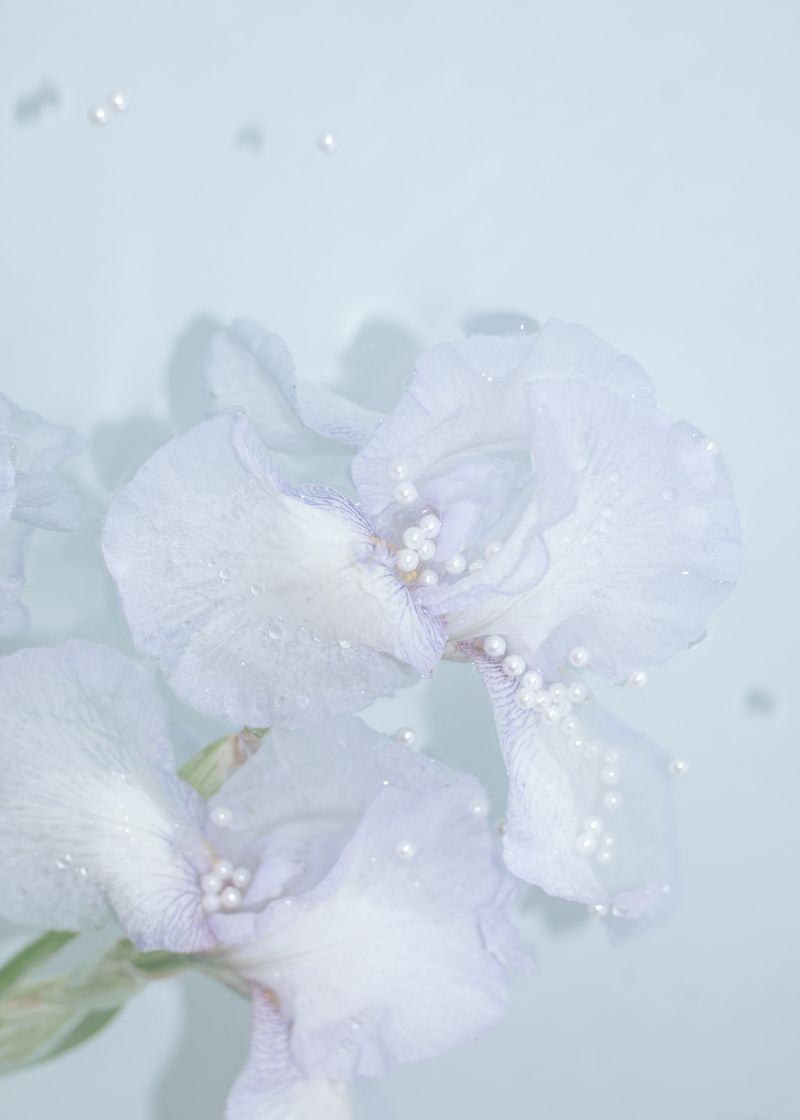 © Natalya Madilyan - Image from the Falling In photography project