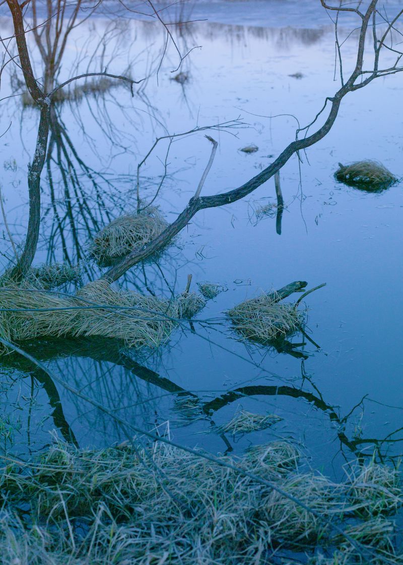 © Natalya Madilyan - Image from the Falling In photography project